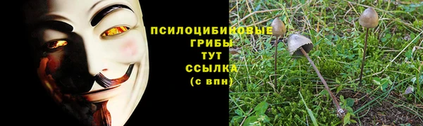 2c-b Баксан