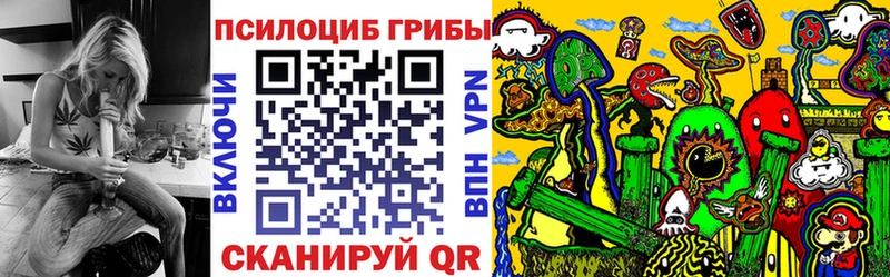 где продают наркотики Краснообск ссылка на мегу рабочий сайт Галлюциногенные грибы Psilocybe